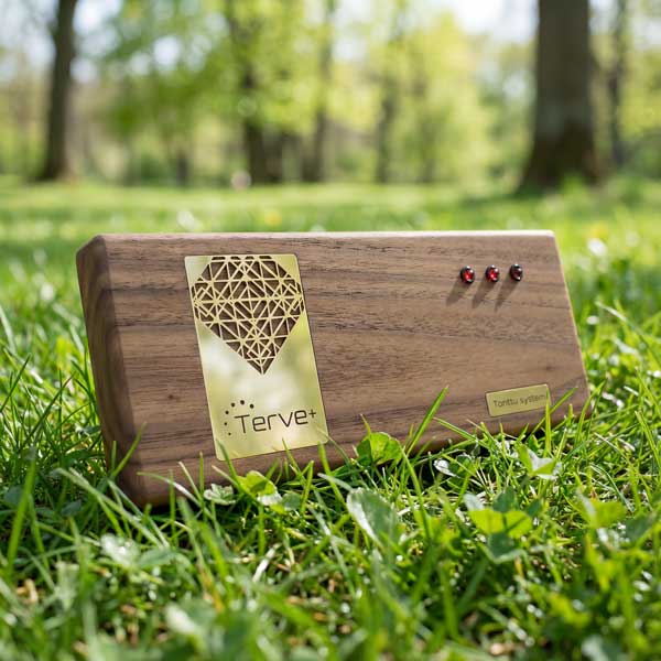 （株）トントゥシステム